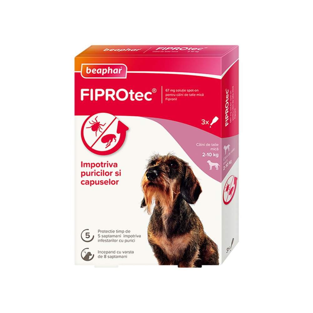 PIPETA ANTIPARAZITARA PENTRU CAINI FIPROTEC BEAPHAR S 2-10KG (3PIPx0.67ML/CUT) [1]