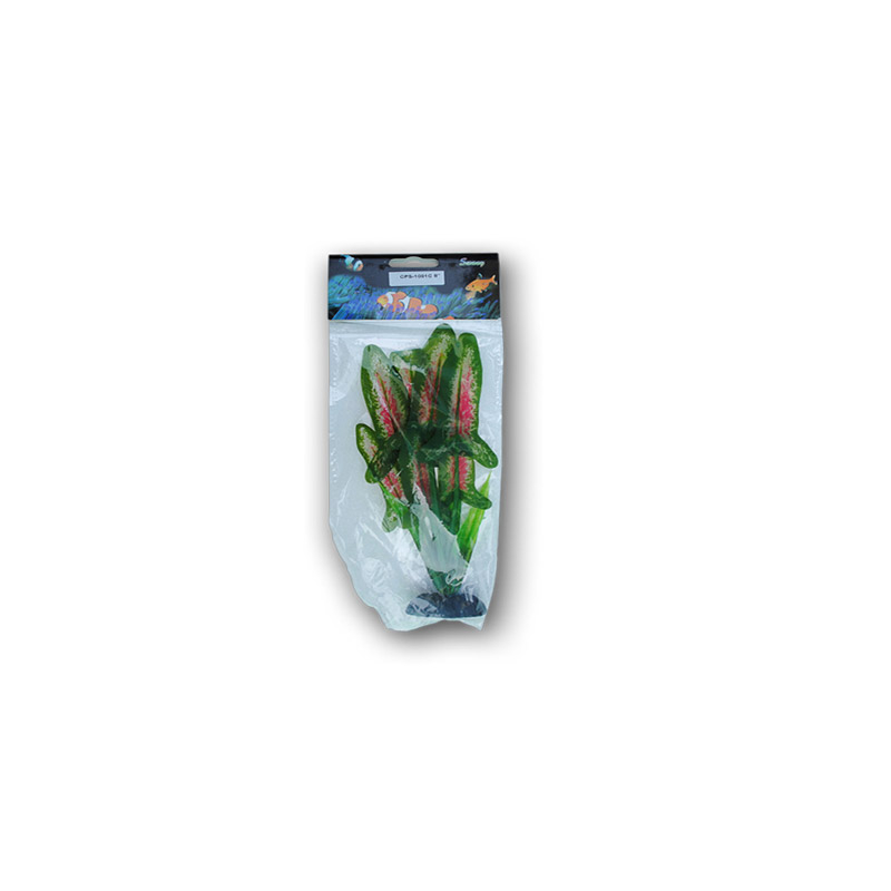 PLANTE MATASE 20CM [1]