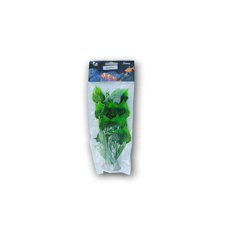 PLANTE MATASE 30CM [1]