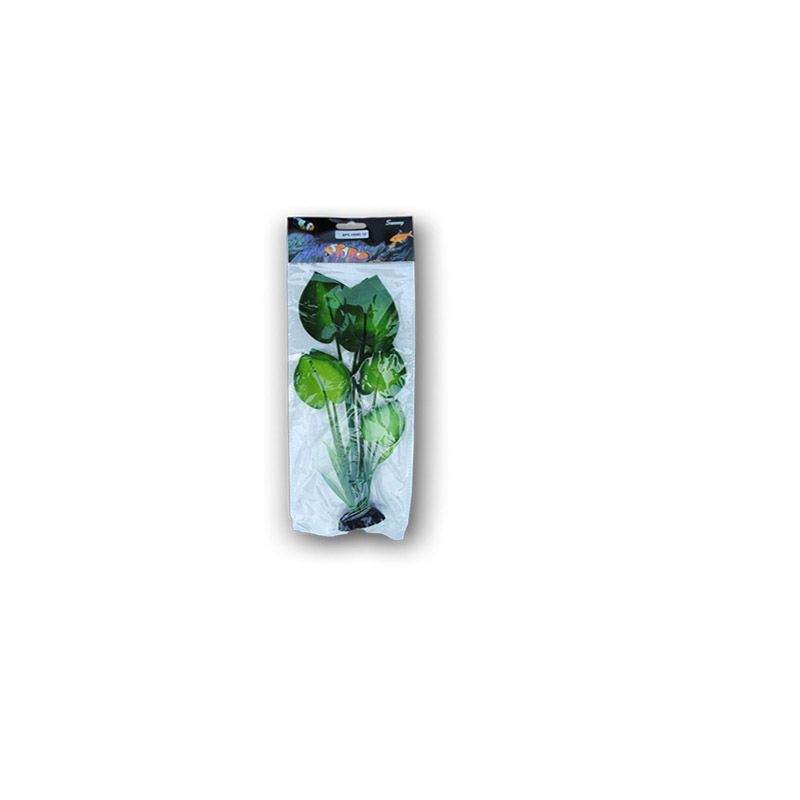 PLANTE MATASE 30CM [1]