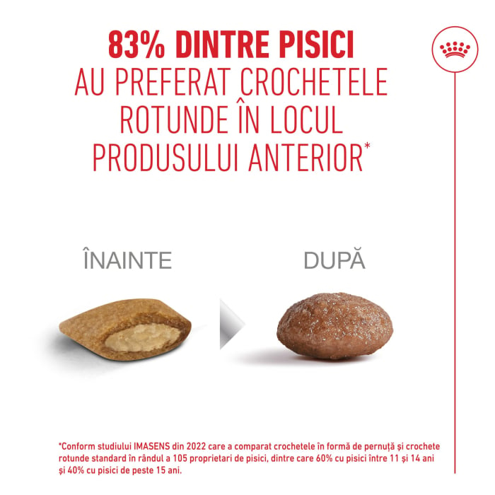 Royal Canin Ageing 12 + hrana uscata pisica senior [3]