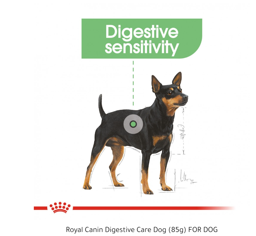Royal Canin Digestive Care Adult hrana umeda caine, confort digestiv (pate), 85 g [2]