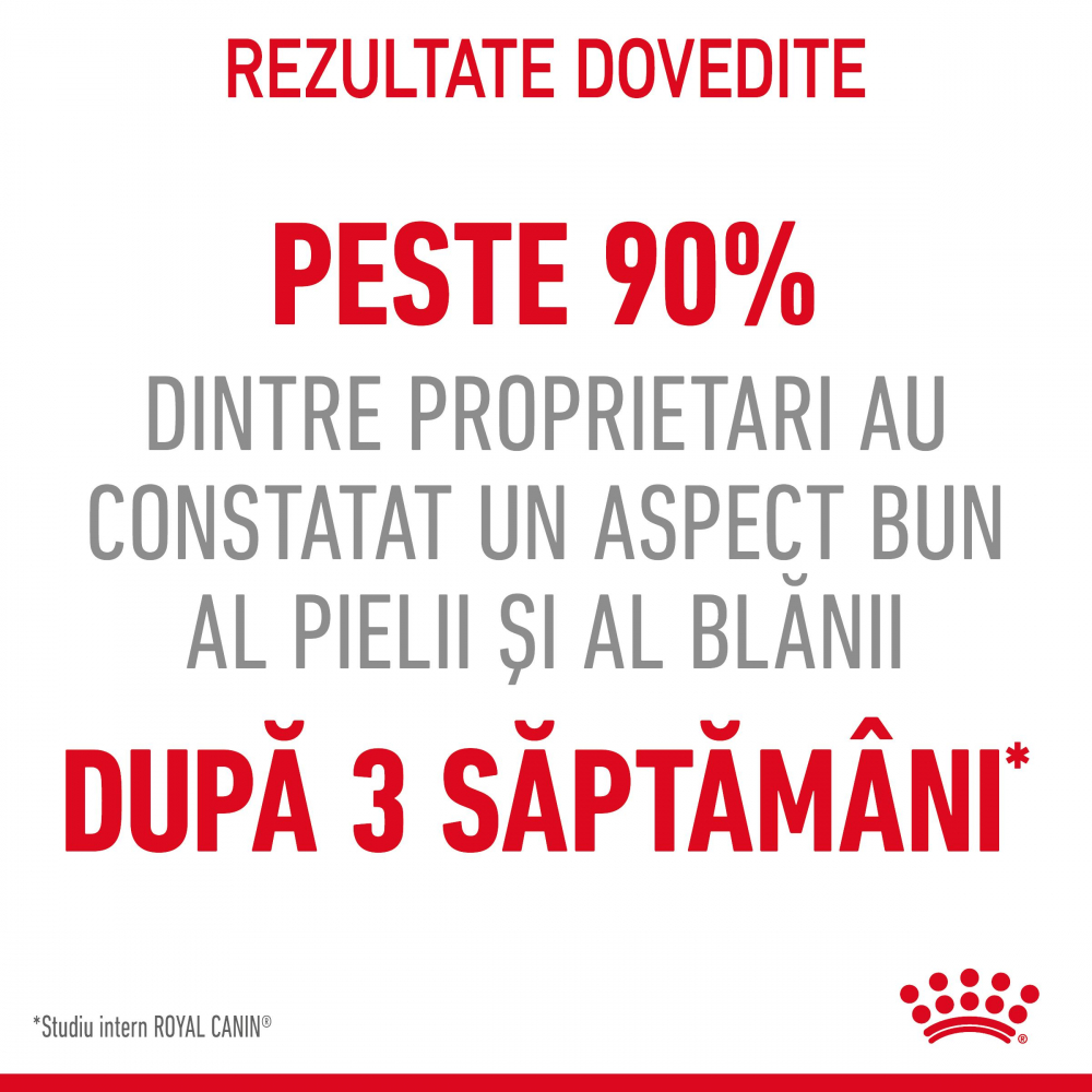 Mostră 100g hrană uscată pentru pisici Royal Canin Hair & Skin Care [8]