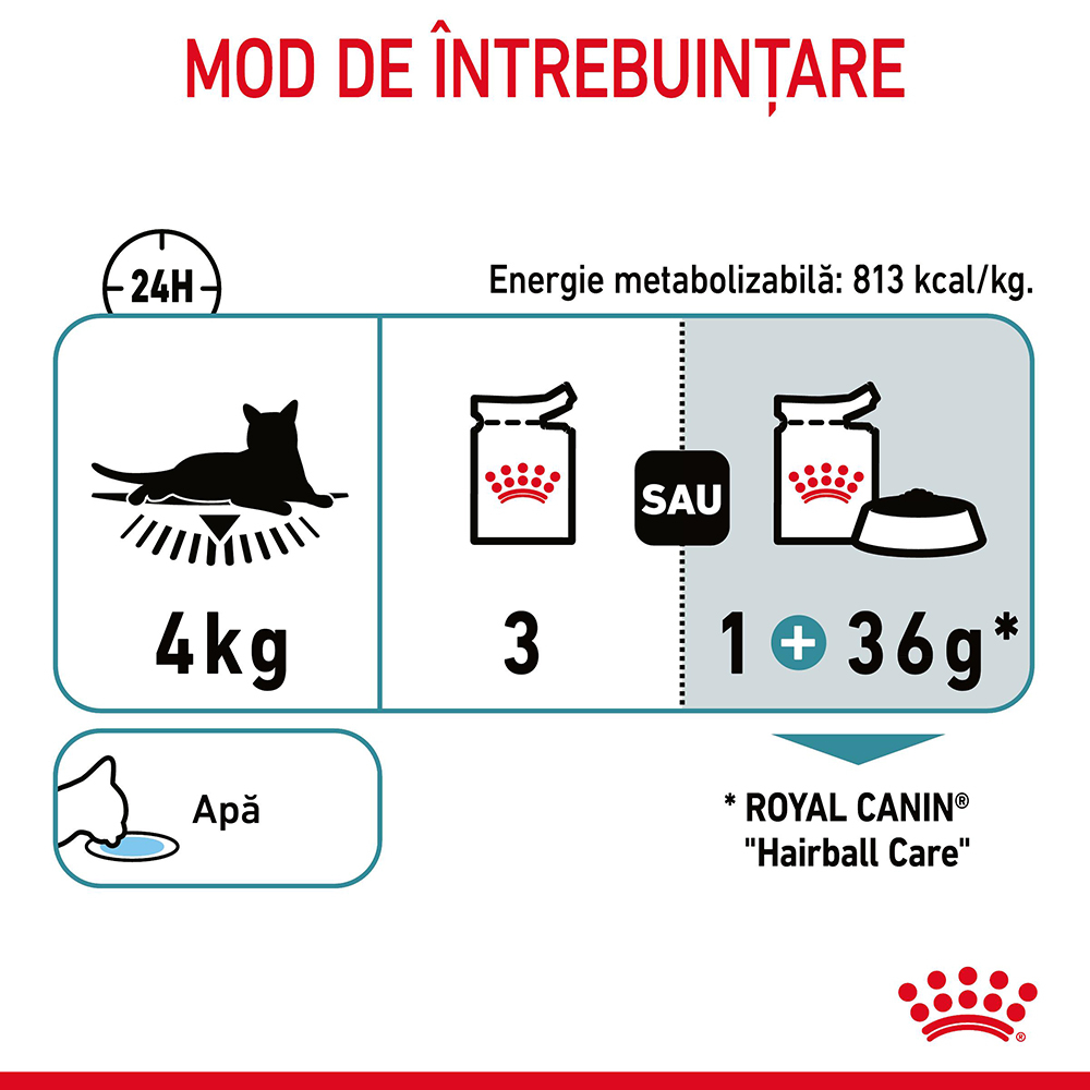 Royal Canin Hairball Care Adult hrana umeda pisica, limitarea ghemurilor de blana, 85 g [8]