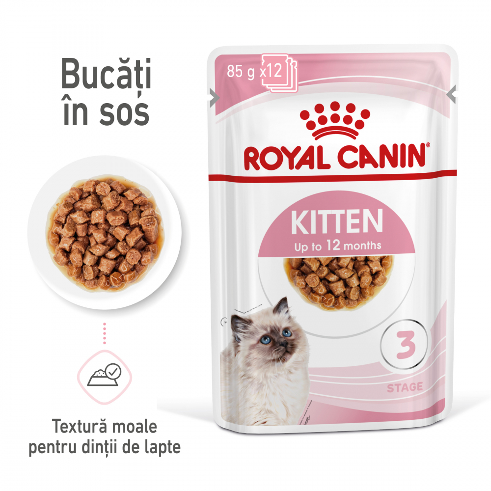 Royal Canin Kitten hrana umeda pisica junior (in sos), 85 g [2]