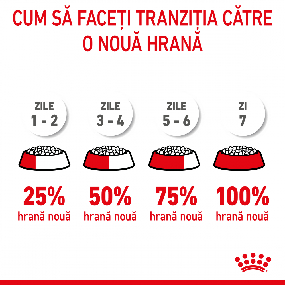 Mostră 100g hrană uscată pentru pisici mici, Royal Canin Kitten [9]
