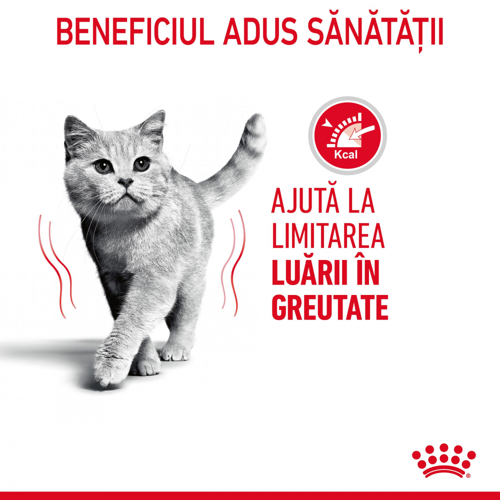 Royal Canin Light Weight Care Adult  hrana uscata pisica, limitarea cresterii in greutate,1.5 kg [4]