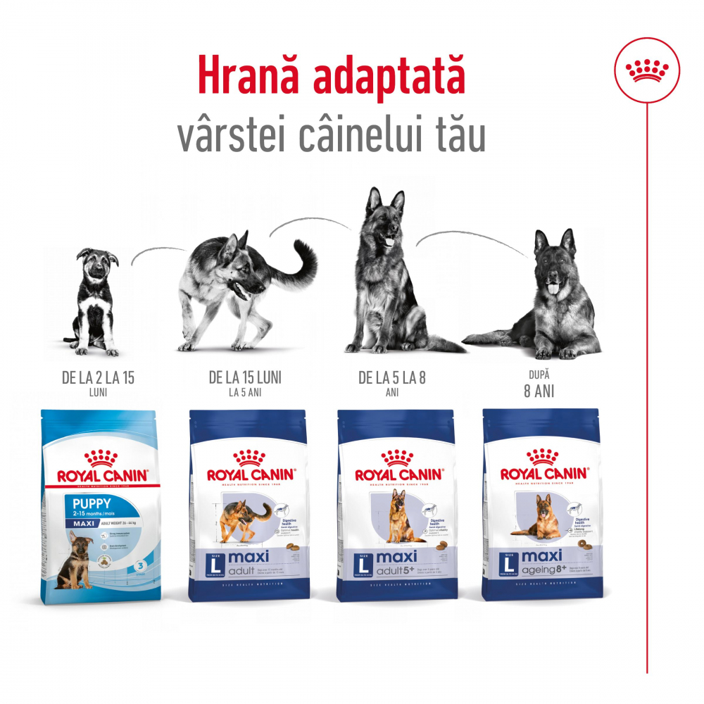 Hrană uscată pentru câini Maxi Adult Royal Canin 3 KG [5]