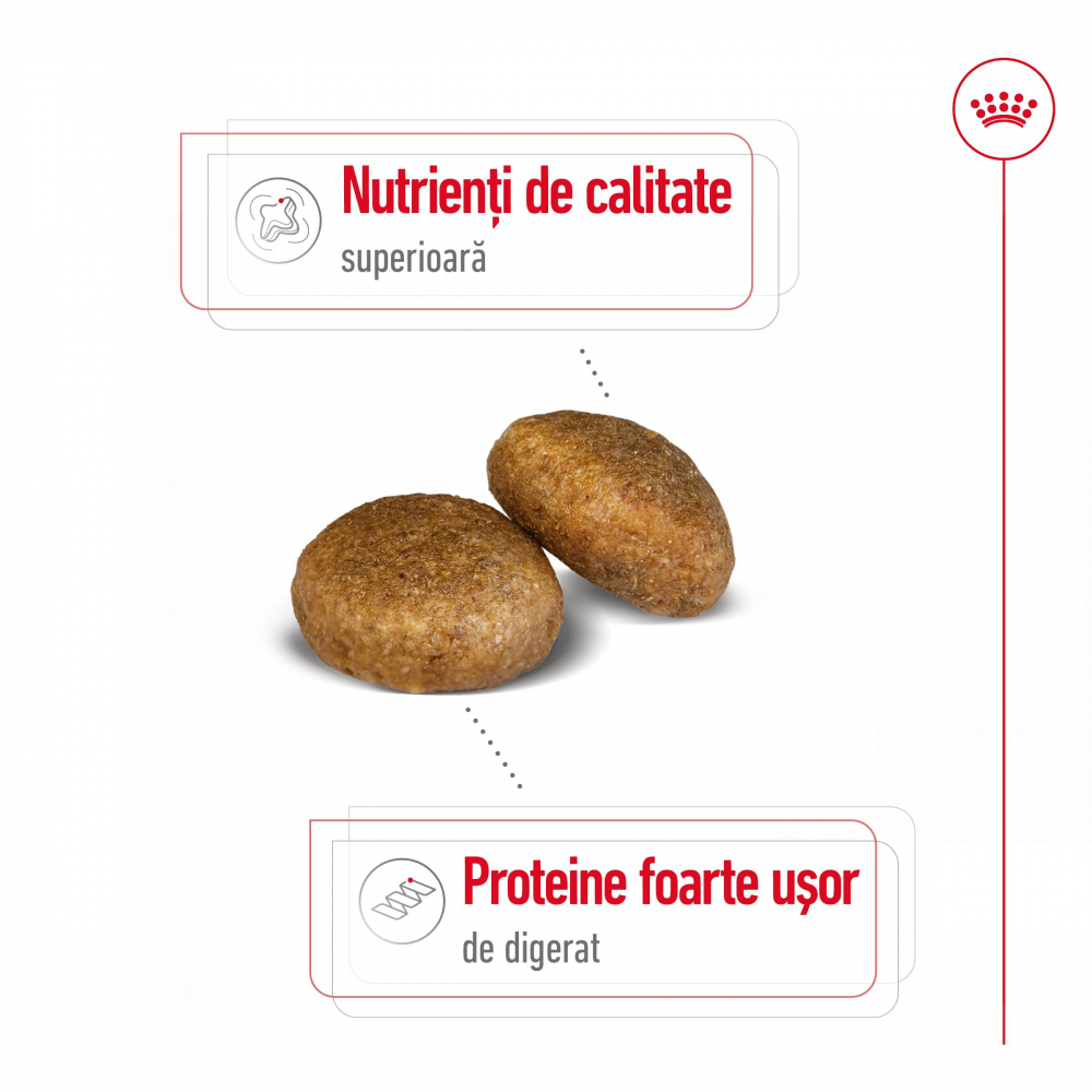 Hrană uscată pentru câini Maxi Adult Royal Canin 3 KG [4]
