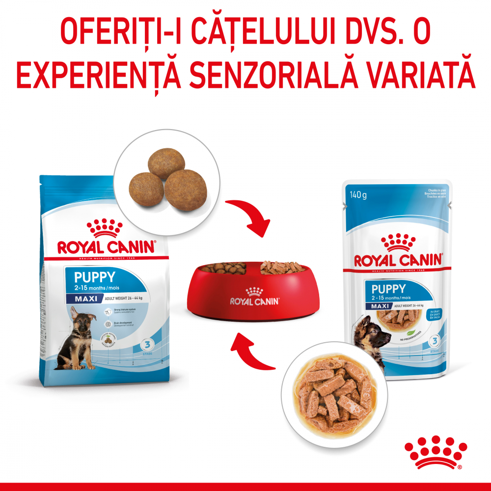 Royal Canin Maxi Puppy hrana umeda caine junior (in sos), 140 g [5]