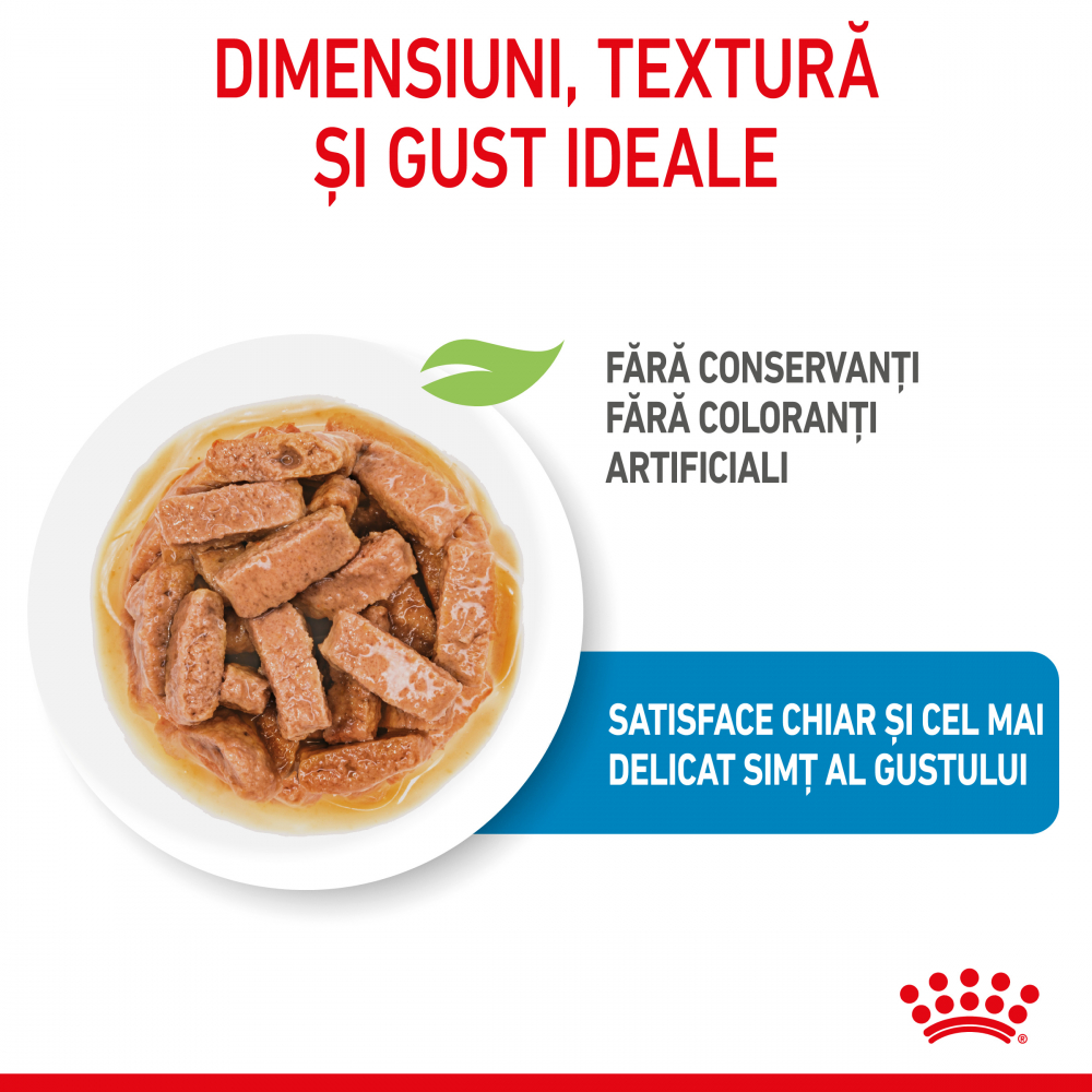 Royal Canin Maxi Puppy hrana umeda caine junior (in sos), 140 g [3]