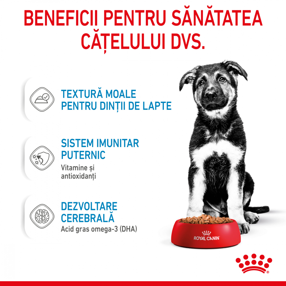 Royal Canin Maxi Puppy hrana umeda caine junior (in sos), 140 g [4]