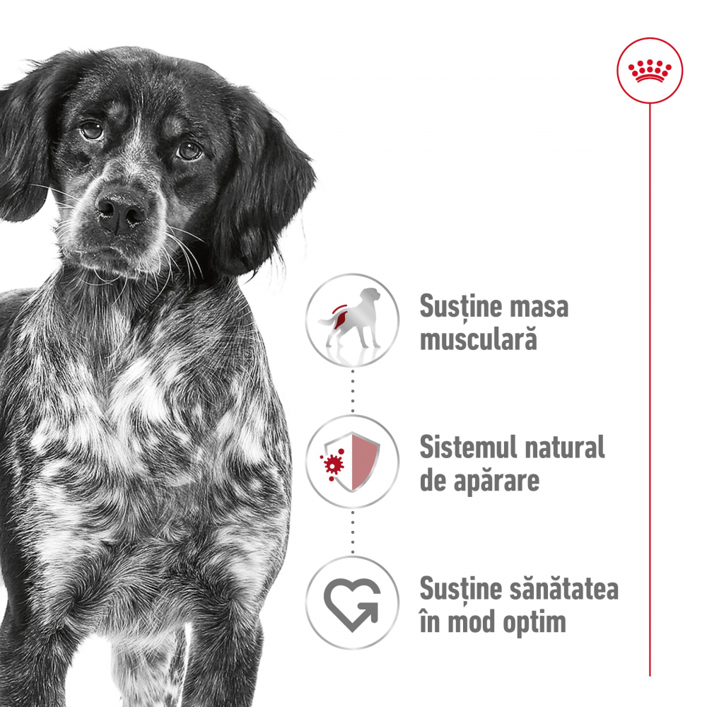 Royal Canin Medium Adult hrana uscata caine, 4 kg [9]