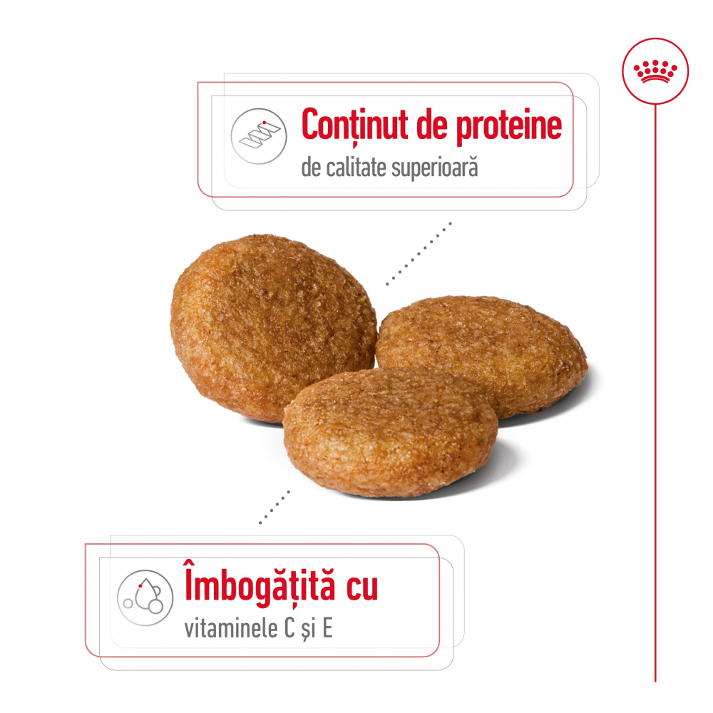 Royal Canin Medium Adult hrana uscata caine, 4 kg [2]