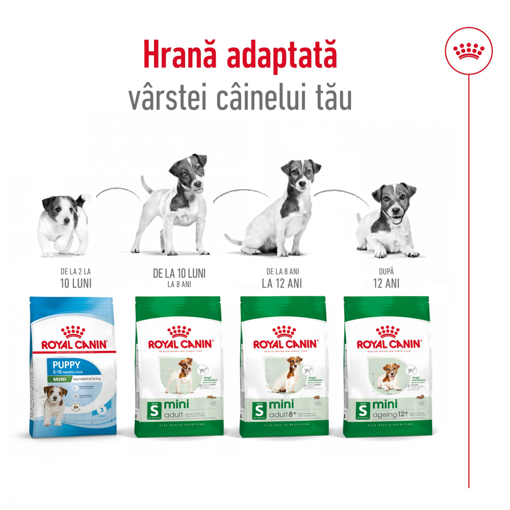Mostră 100g hrană uscată pentru câini Mini Adult Royal Canin [4]