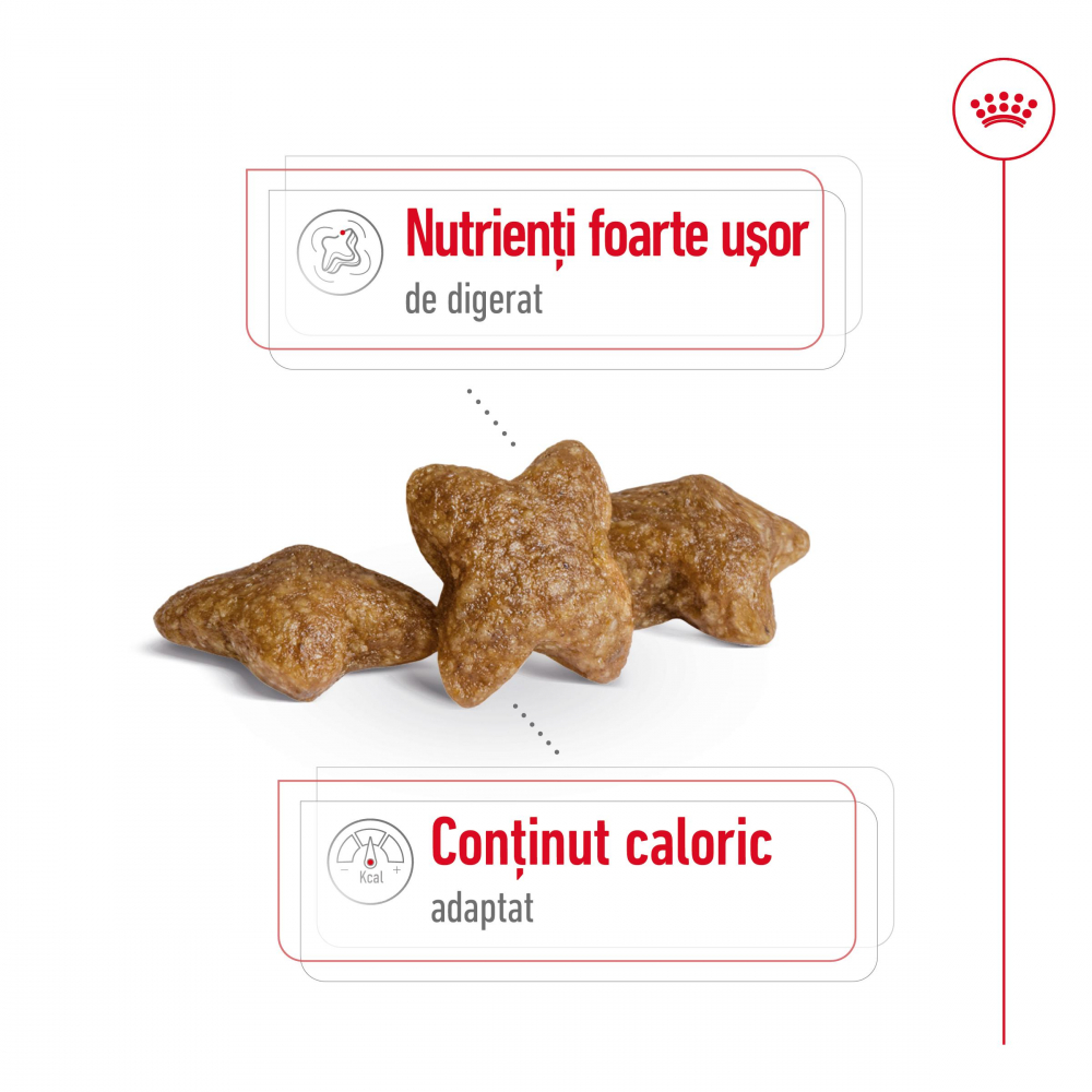 Mostră 100g hrană uscată pentru câini Mini Adult Royal Canin [3]