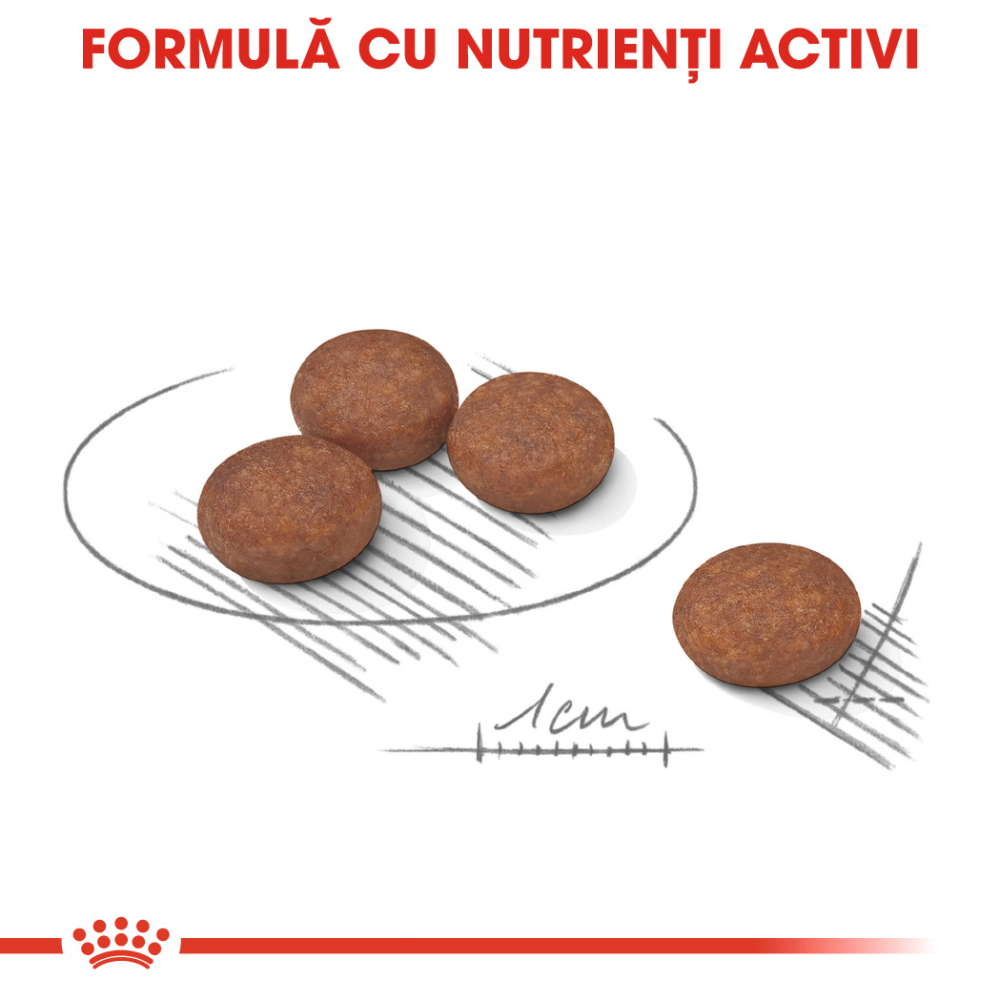 Mostră 100g hrană uscată pentru câini Digestive Mini Royal Canin [5]