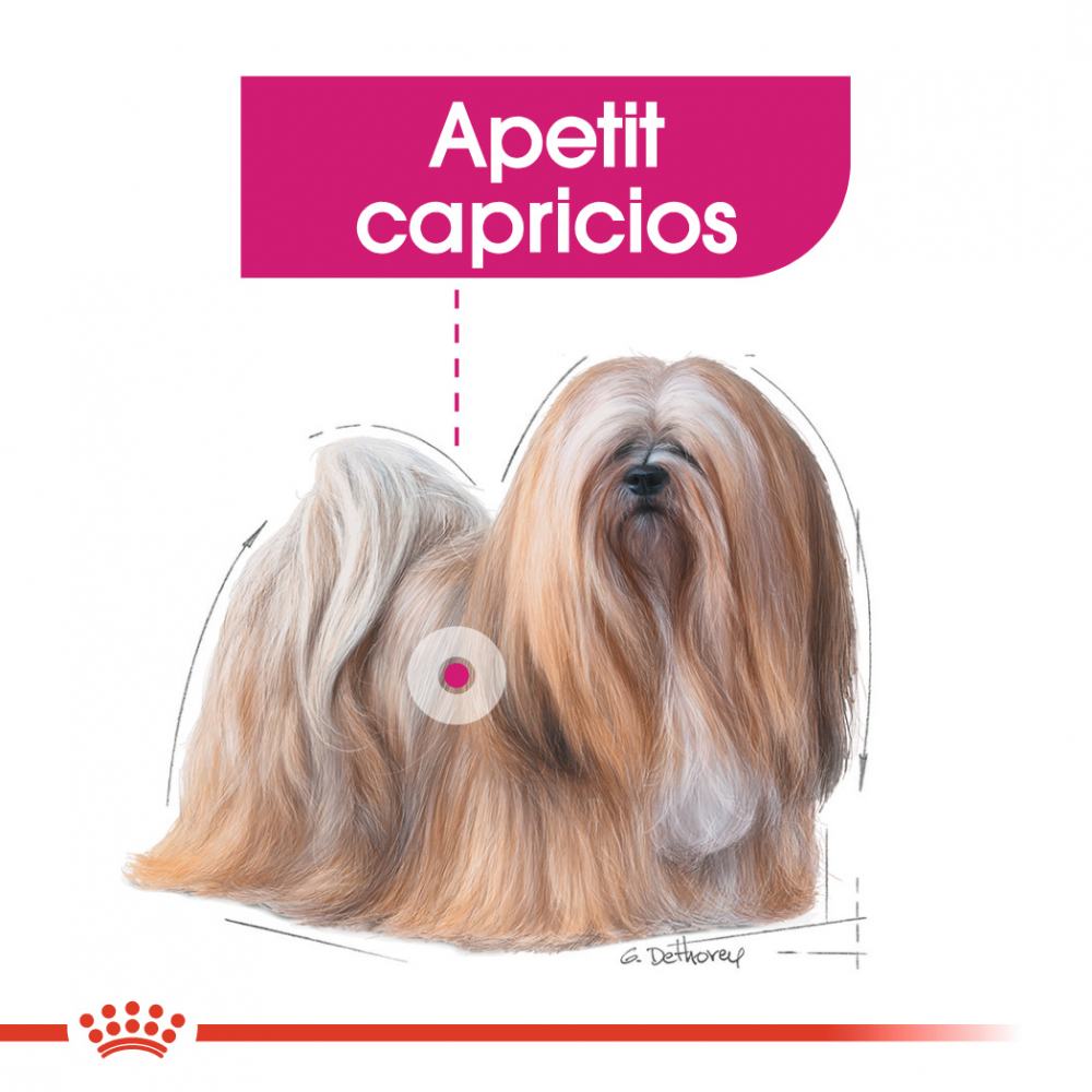 Royal Canin Mini Exigent hrana uscata caine, apetit capricios, 3 kg [3]