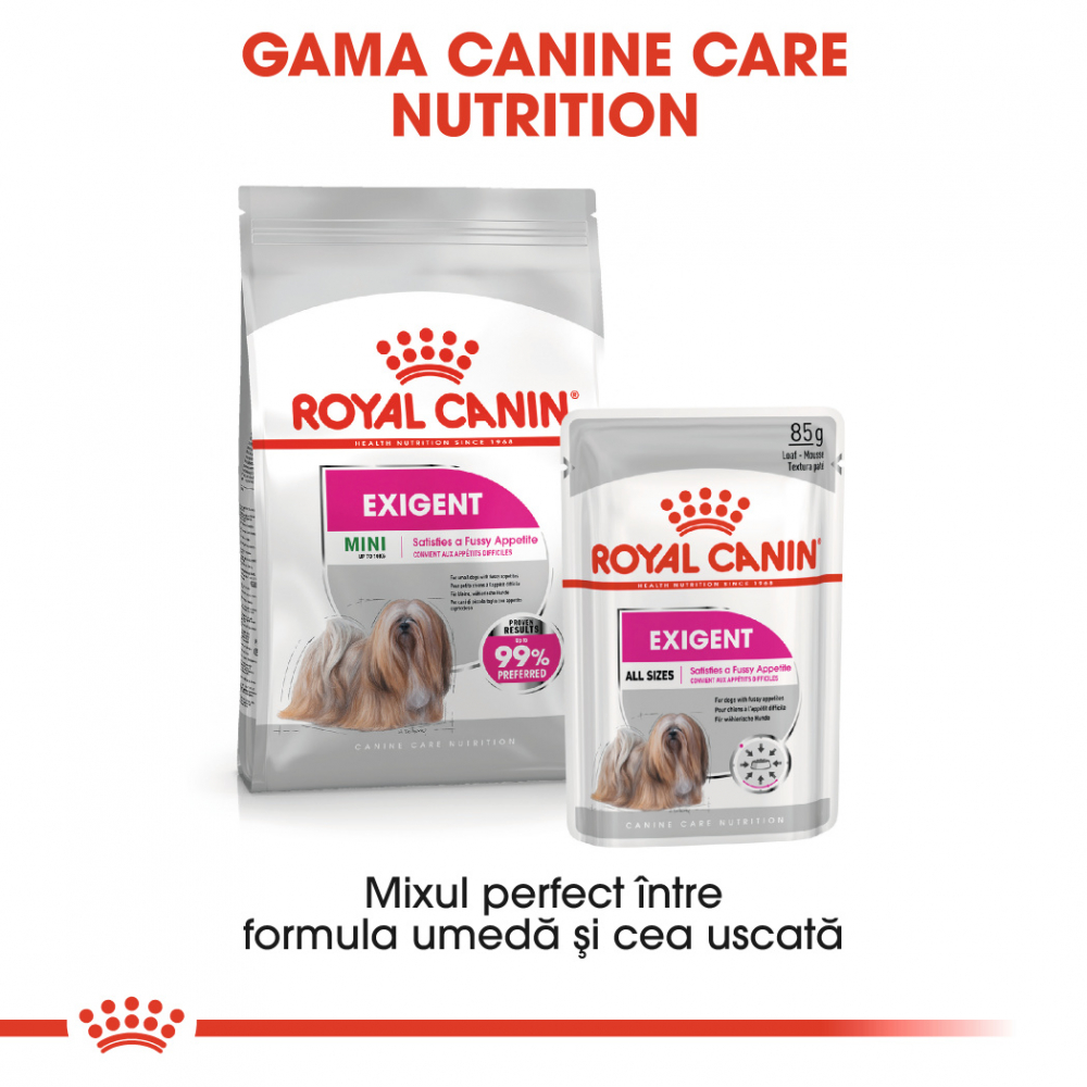 Royal Canin Mini Exigent hrana uscata caine, apetit capricios, 3 kg [6]