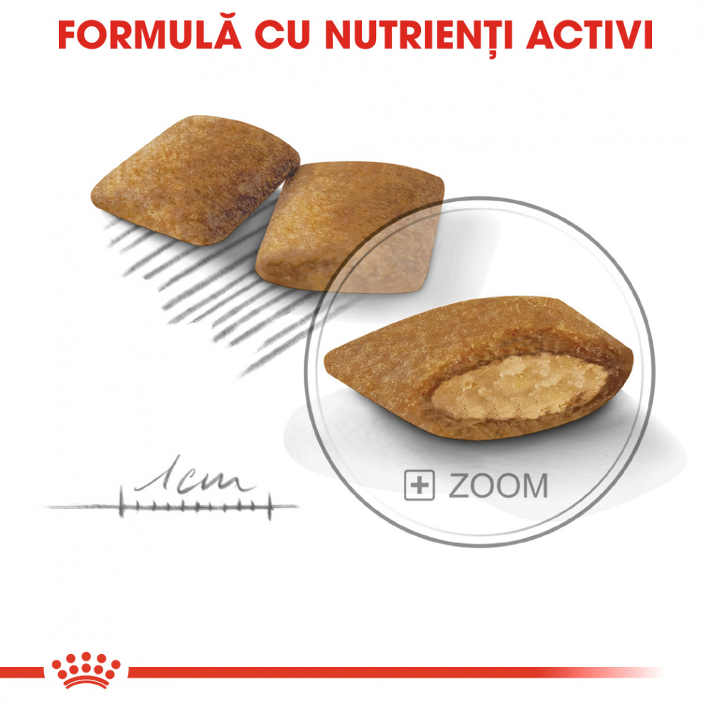 Royal Canin Mini Exigent hrana uscata caine, apetit capricios, 3 kg [5]