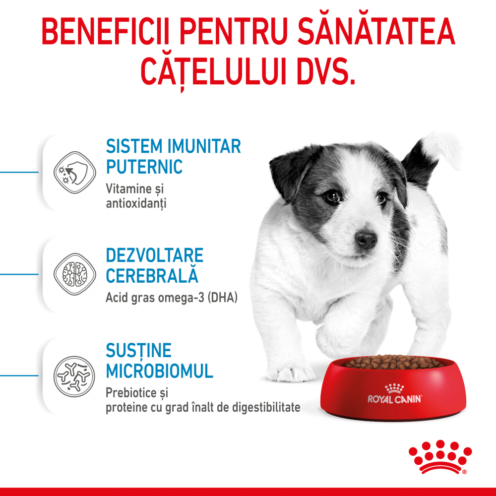 Mostră 100g hrană uscată pentru căței, Royal Canin [4]