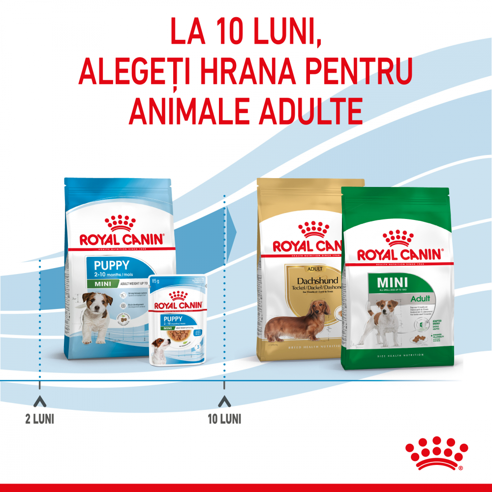 Mostră 100g hrană uscată pentru căței, Royal Canin [6]