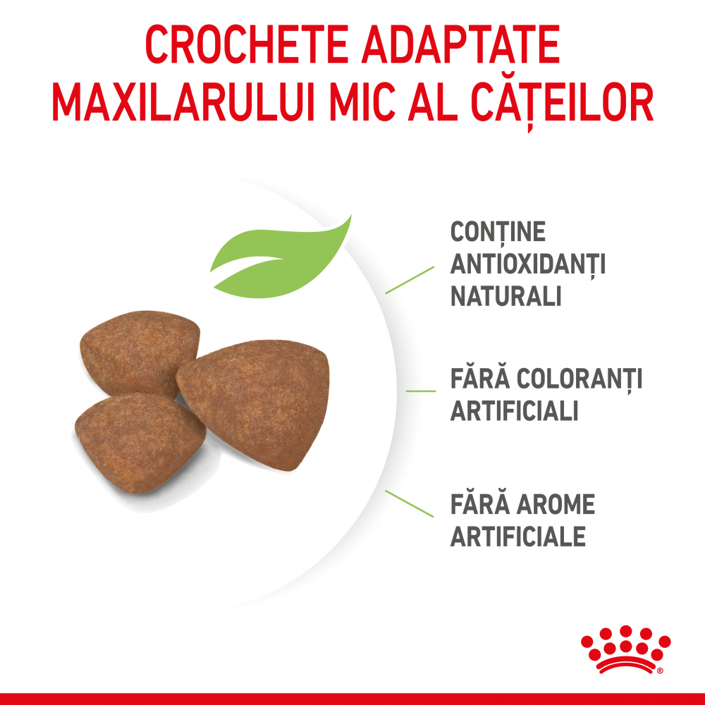 Mostră 100g hrană uscată pentru căței, Royal Canin [5]