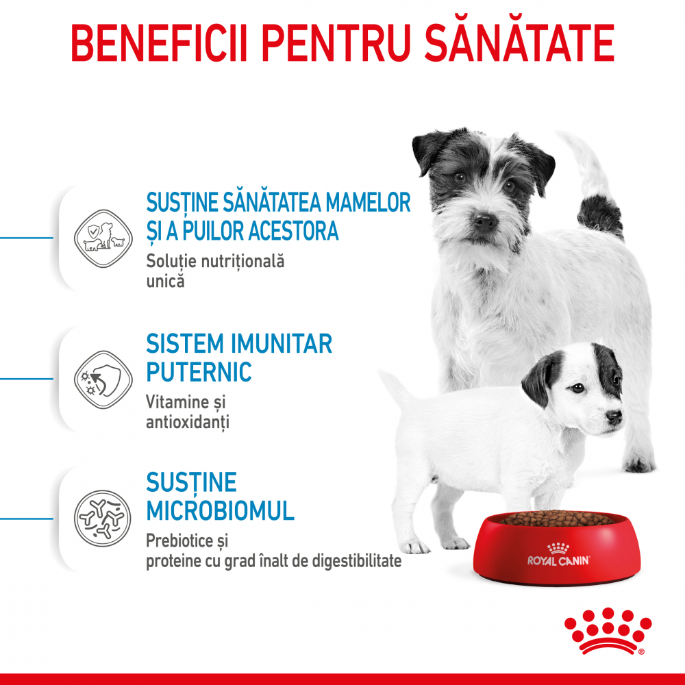 Mostră 100g hrană uscată pentru câini juniori, Mother & Baby Dog Royal Canin [5]