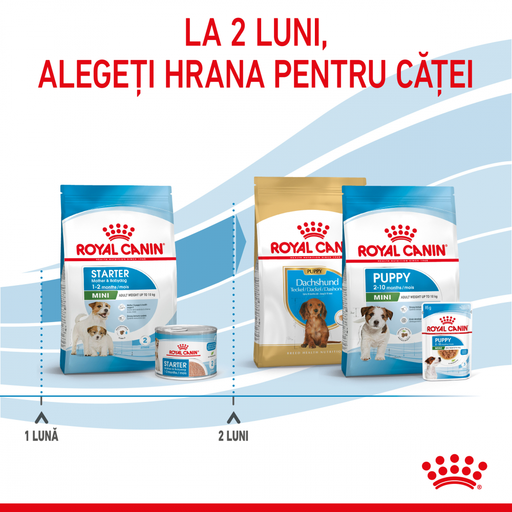 Royal Canin Mini Starter Mother & Babydog, mama si puiul, hrana uscata caine, 4 kg [2]