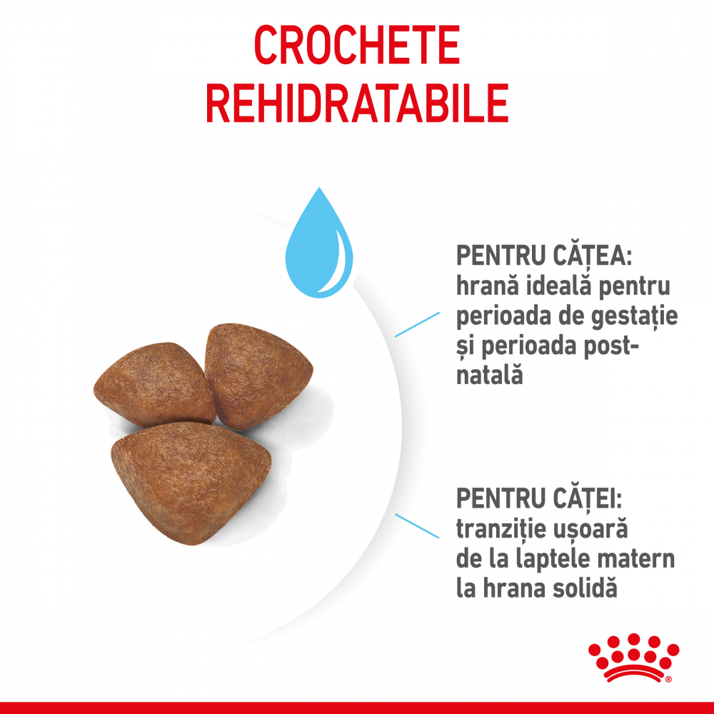 Mostră 100g hrană uscată pentru câini juniori, Mother & Baby Dog Royal Canin [6]