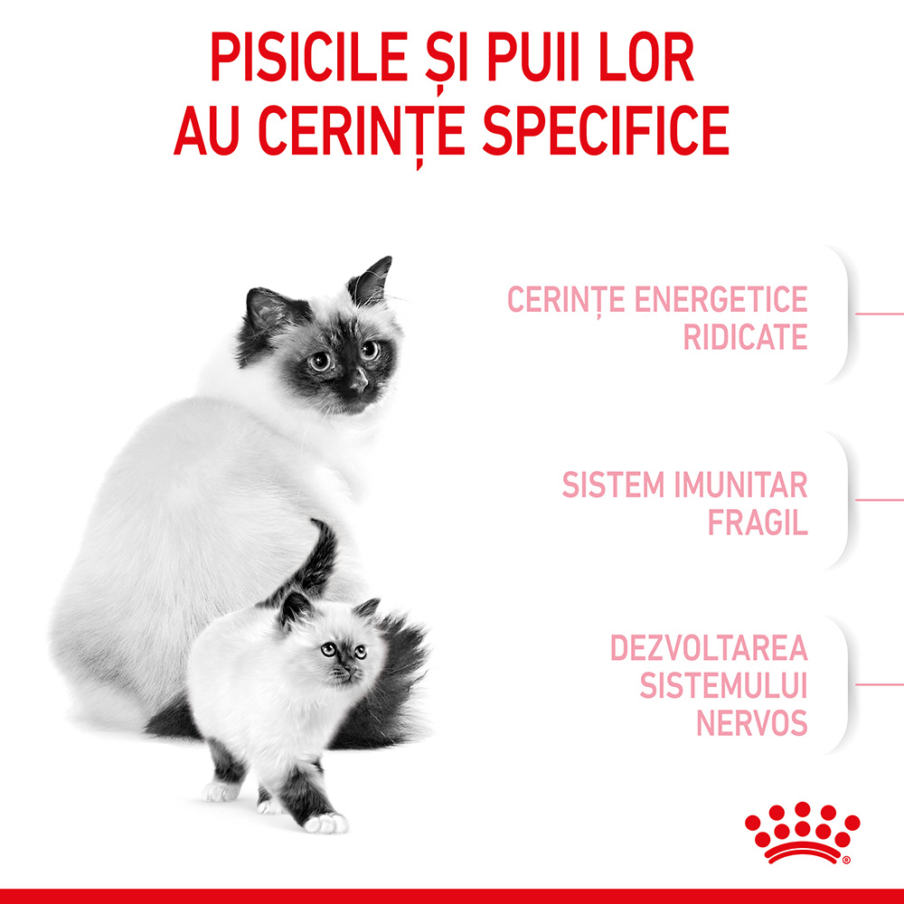 Mostră 100g hrană uscată pentru pui de pisici, Royal Canin Mother & Baby Cat [4]