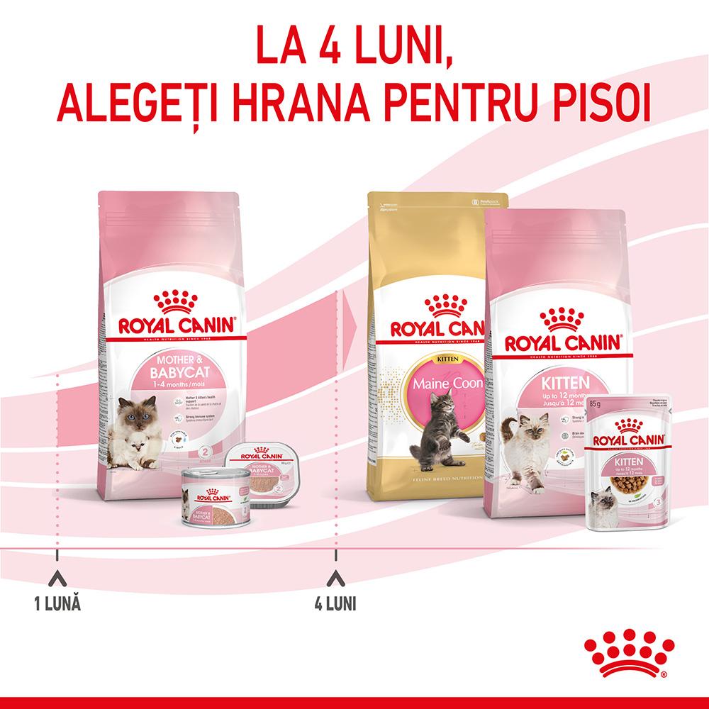 Mostră 100g hrană uscată pentru pui de pisici, Royal Canin Mother & Baby Cat [3]