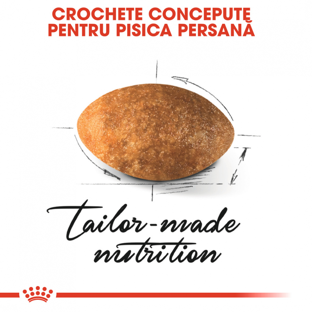 Hrană uscată pentru pisici Royal Canin Persian Adult 2 KG [3]