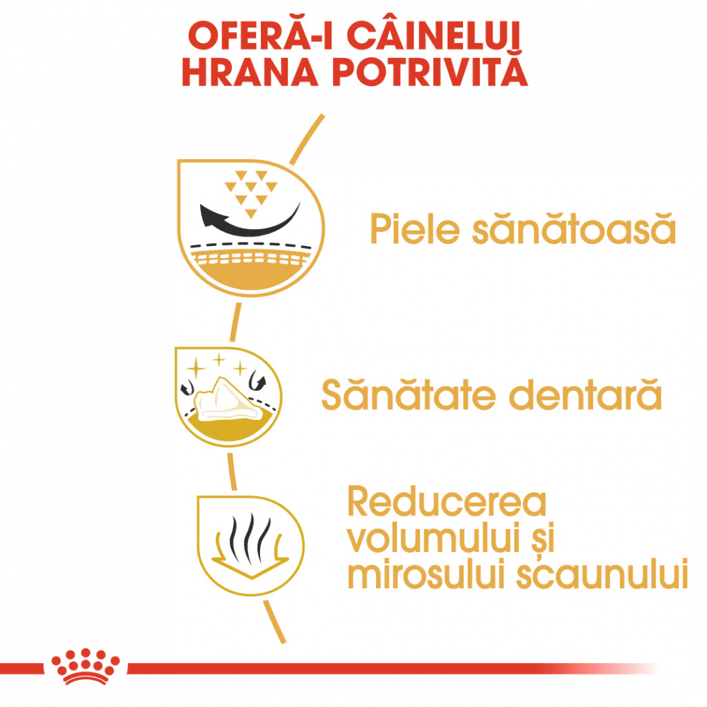 Royal Canin Shih Tzu Adult hrana uscata caine, 1.5 kg [5]