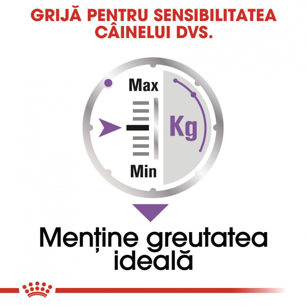 Royal Canin Sterilised Adult hrana umeda caine sterilizat (pate), 85 g [4]