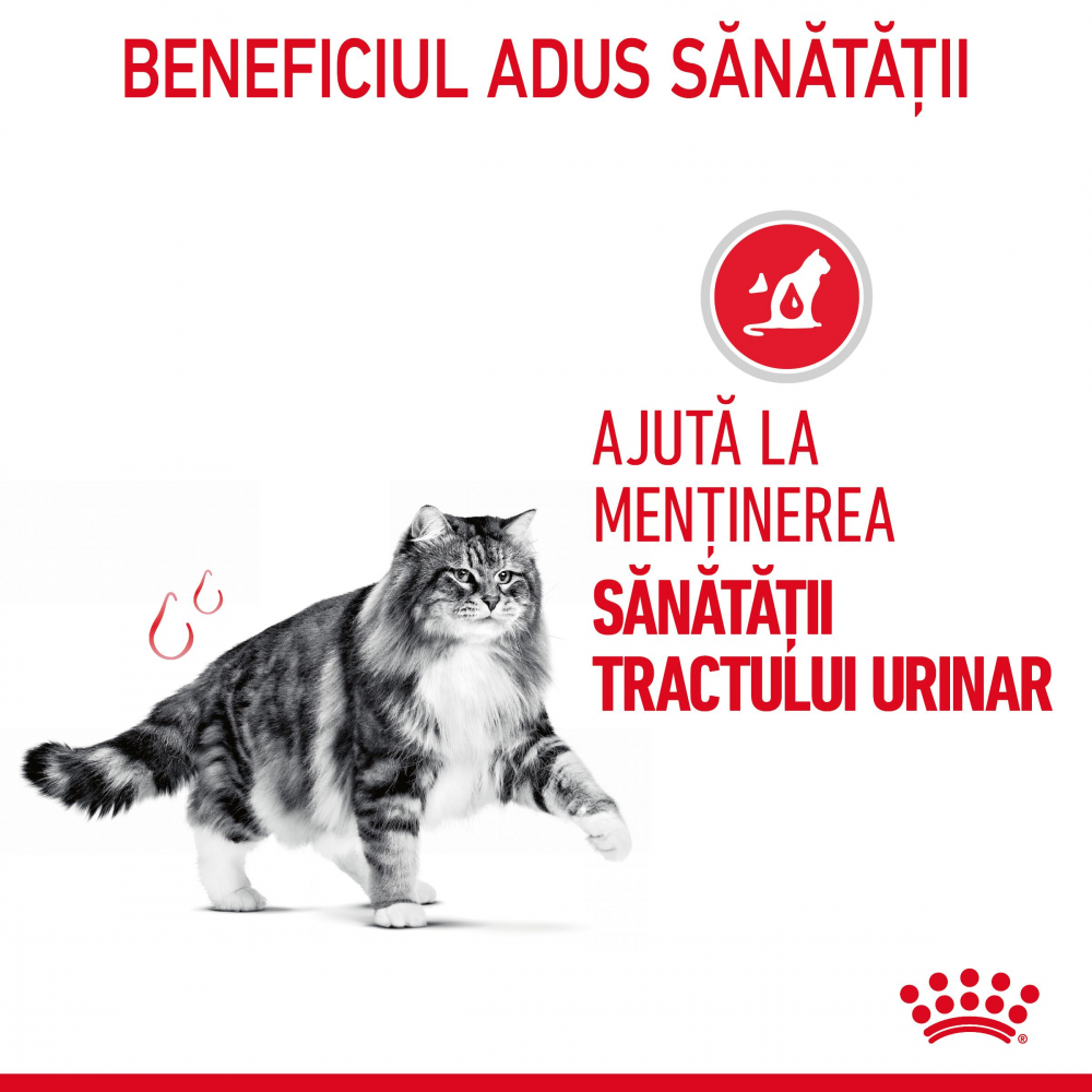 Royal Canin Urinary Care Adult hrana uscata pisica, sanatatea tractului urinar [3]