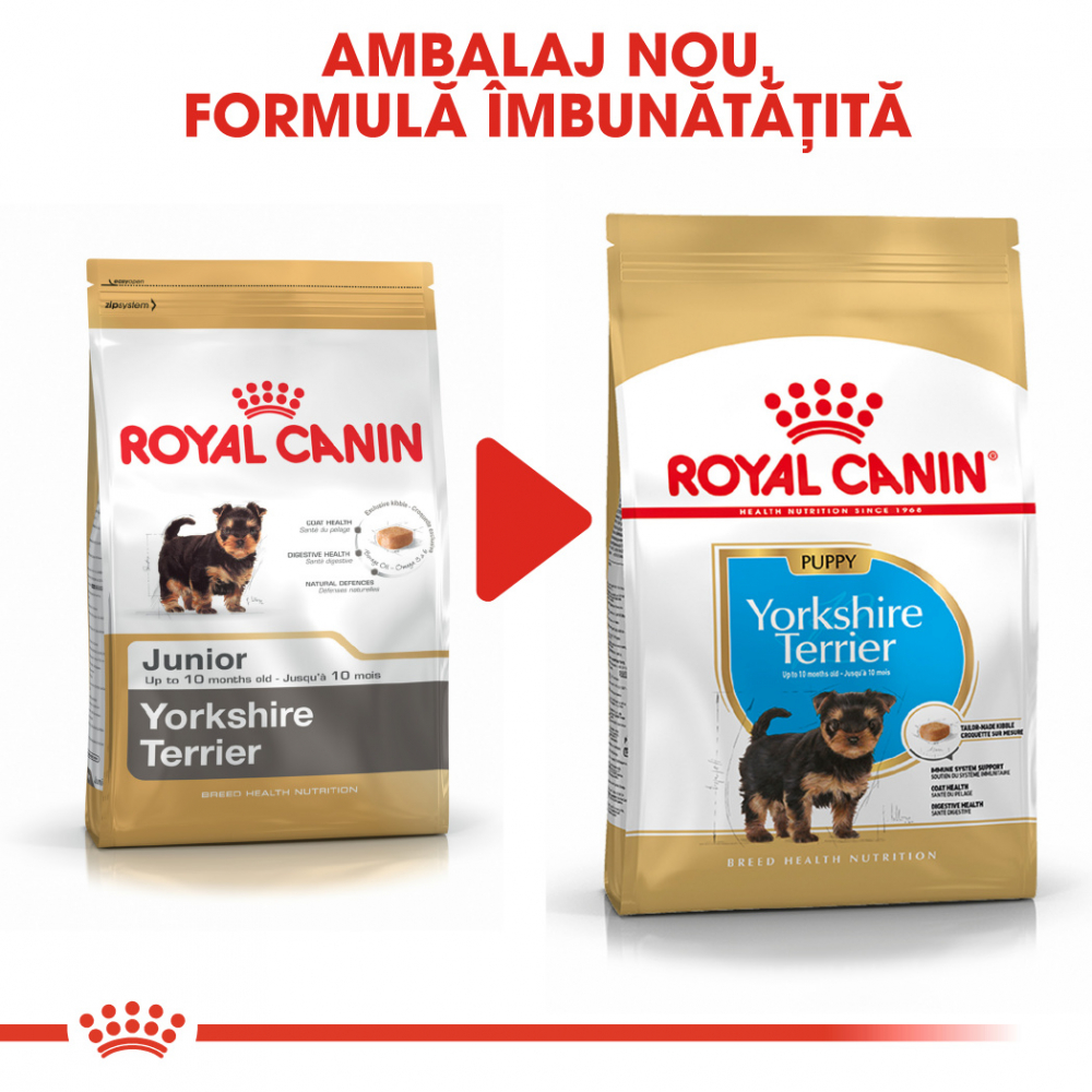 Royal Canin Yorkshire Puppy hrana uscata caine junior, 1.5 kg [8]