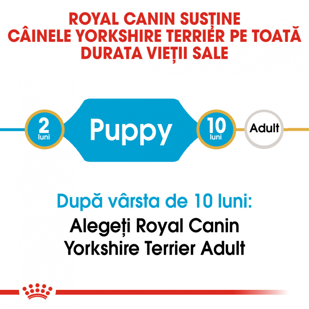 Royal Canin Yorkshire Puppy hrana uscata caine junior, 1.5 kg [3]