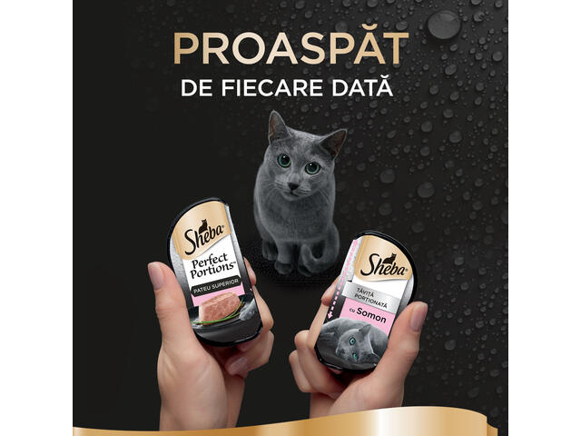 Sheba Perfect Portions hrana umeda pentru pisici adulte, cu somon 6 x 37,5 g [2]