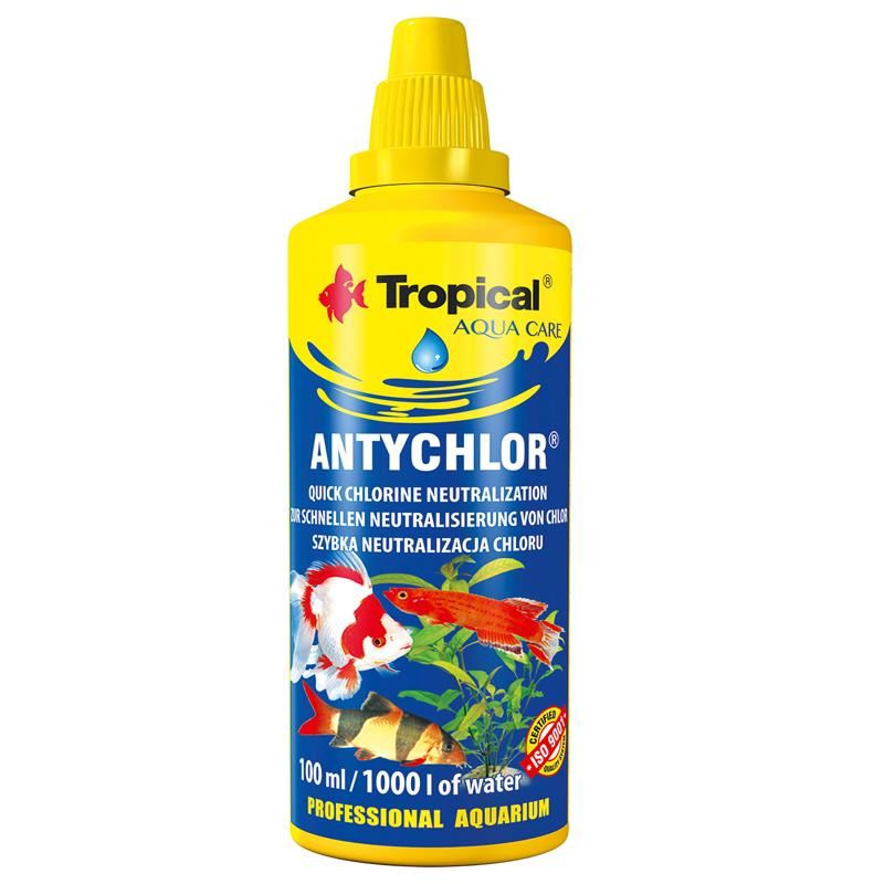 TROPICAL ANTYCHLOR [1]