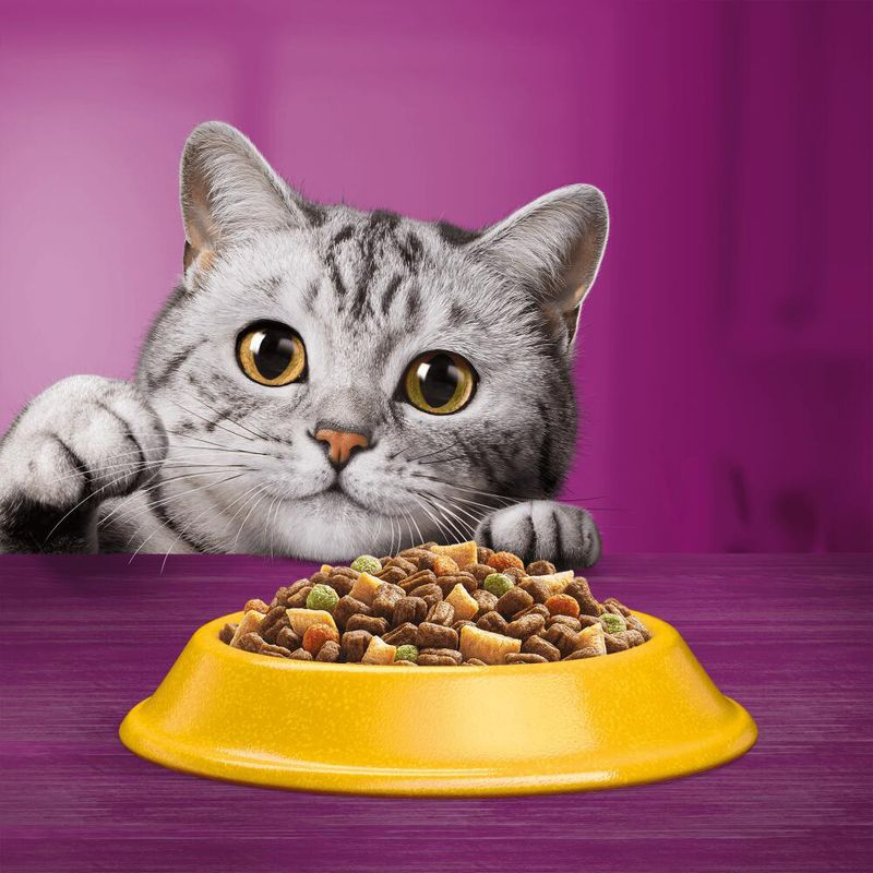Whiskas hrana uscata pentru pisici adulte cu Pui, Vita sau Peste 14 kg [3]