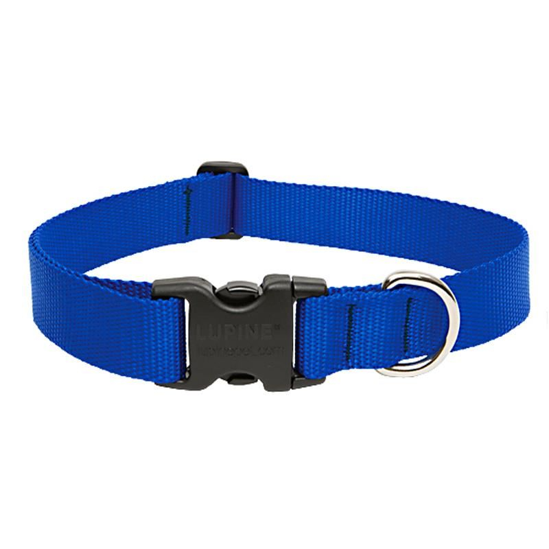 ZGARDA NYLON PENTRU CAINI BLUE CLICK 15MM*30-45CM [1]
