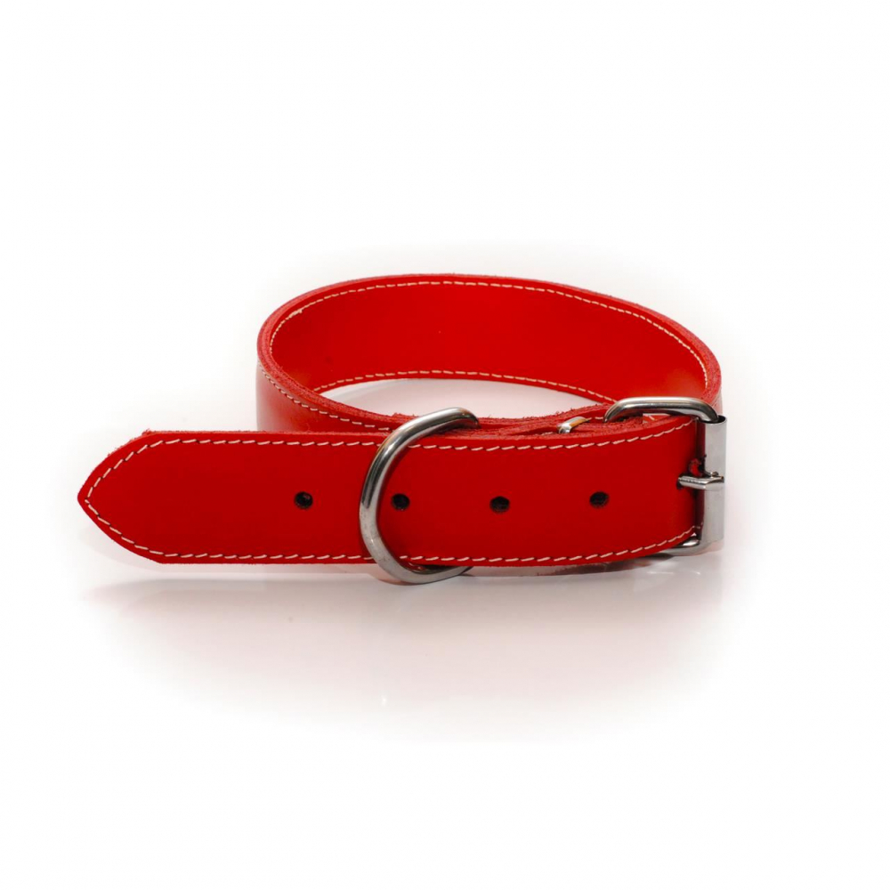 ZGARDA PIELE PENTRU CAINI DUBLATA CU CHINGA 40MM NR.6 ROSIE [1]
