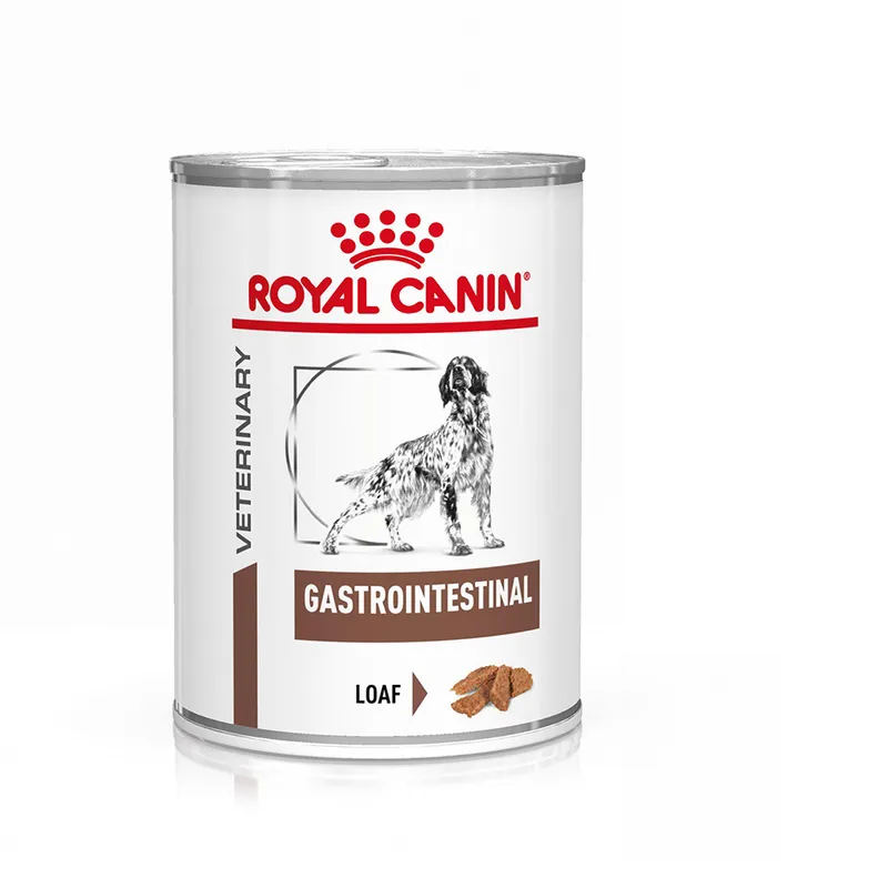 Afecțiuni digestive câini - Royal Canin, conservă Câine adult, Gastrointestinal 400 g