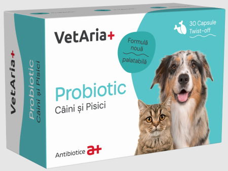 Farmacie veterinară - VetAria+ Probiotic – 30 capsule cu Probiotice, Prebiotice și Electroliți pentru Câini și Pisici
