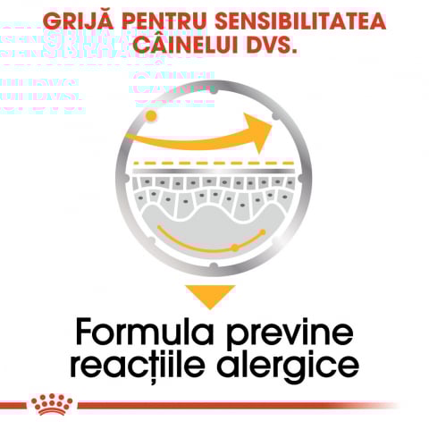 Royal Canin Dermacomfort Adult hrana umeda caine, prevenirea iritatiilor pielii (pate), 85 g [4]