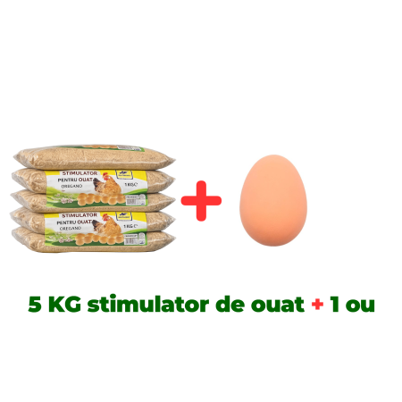 Pachete - 5 KG Stimulator pentru ouat + Ou fals de găină