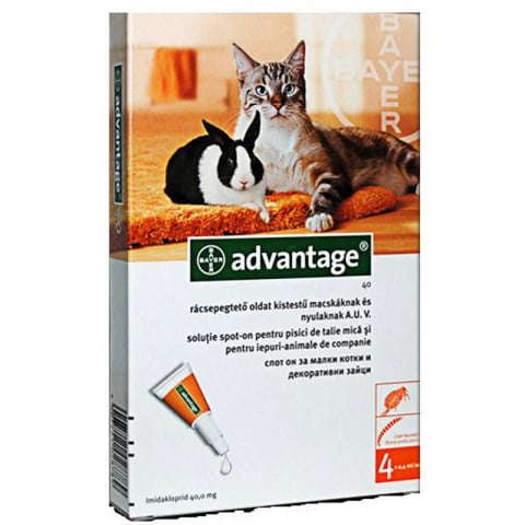 Antiparazitare externe pisici - ANTIPARAZITAR EXTERN PENTRU PISICI ADVANTAGE 40 CAT/RABBIT *4 PIPETE
