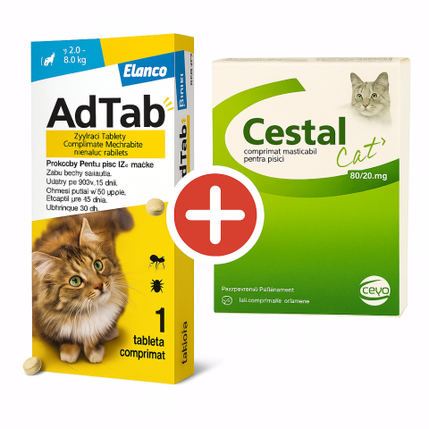 Antiparazitare interne pisici - Antiparazitar intern extern pisici Cestal cat + AdTab