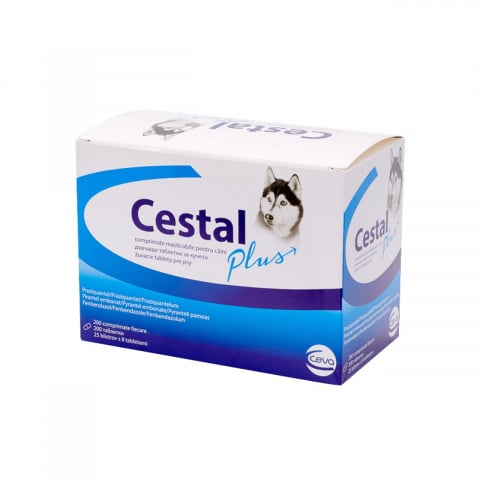 Antiparazitare interne caini - ANTIPARAZITAR INTERN PENTRU CAINI CESTAL PLUS CHEW (200TB/CUTIE)